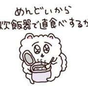 ヒメ日記 2025/12/16 15:32 投稿 みみ あふたーすくーる