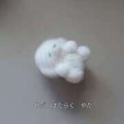 ヒメ日記 2025/12/20 16:23 投稿 みみ あふたーすくーる