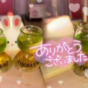 ヒメ日記 2025/12/31 16:13 投稿 みみ あふたーすくーる