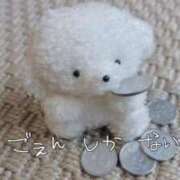 ヒメ日記 2026/04/25 16:41 投稿 みみ あふたーすくーる