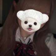みみ 🐰 あふたーすくーる