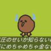 ヒメ日記 2026/08/19 17:43 投稿 みみ あふたーすくーる
