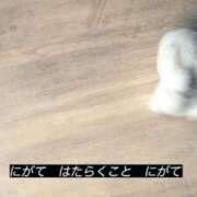ヒメ日記 2026/08/26 18:00 投稿 みみ あふたーすくーる
