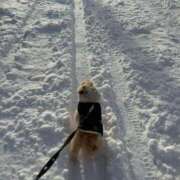 ヒメ日記 2026/02/07 13:43 投稿 いお あふたーすくーる