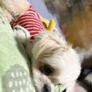 ヒメ日記 2026/04/05 22:03 投稿 いお あふたーすくーる