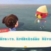ヒメ日記 2026/06/29 17:48 投稿 いお あふたーすくーる
