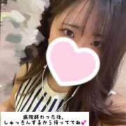 ヒメ日記 2025/09/02 10:15 投稿 まみ 男爵