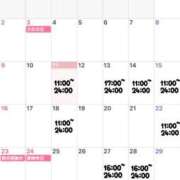 ヒメ日記 2025/11/11 10:34 投稿 まみ 男爵