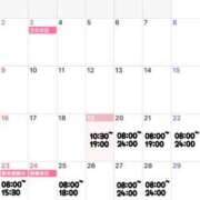 ヒメ日記 2025/11/19 11:56 投稿 まみ 男爵