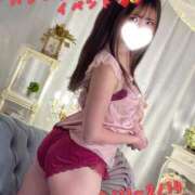 ヒメ日記 2026/02/11 12:01 投稿 まみ 男爵