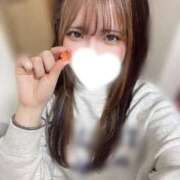 ヒメ日記 2026/03/28 16:24 投稿 まみ 男爵