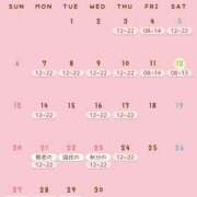 ヒメ日記 2026/09/12 09:12 投稿 まみ 男爵