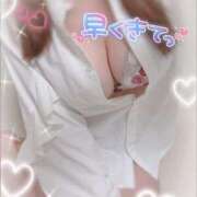 ヒメ日記 2025/12/17 12:04 投稿 ましゅ 激安ソープの殿堂　ボイン・ホーテ