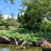 ヒメ日記 2025/08/08 11:58 投稿 えり 熟女の風俗最終章 町田店