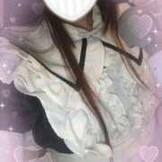 ヒメ日記 2025/08/14 12:27 投稿 シロナ バニーコレクション秋田店