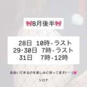 ヒメ日記 2025/08/23 20:45 投稿 シロナ バニーコレクション秋田店