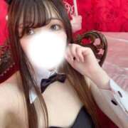 ヒメ日記 2025/08/29 19:42 投稿 シロナ バニーコレクション秋田店