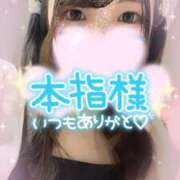 ヒメ日記 2025/09/01 10:39 投稿 シロナ バニーコレクション秋田店