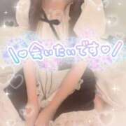 ヒメ日記 2025/09/02 15:09 投稿 シロナ バニーコレクション秋田店