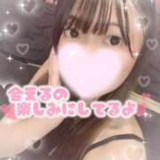 ヒメ日記 2025/09/07 18:45 投稿 シロナ バニーコレクション秋田店