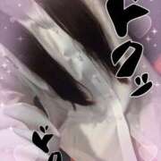 ヒメ日記 2025/09/11 21:15 投稿 シロナ バニーコレクション秋田店