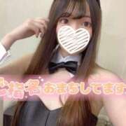 ヒメ日記 2025/09/29 21:51 投稿 シロナ バニーコレクション秋田店