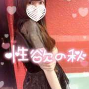 ヒメ日記 2025/10/09 08:03 投稿 シロナ バニーコレクション秋田店