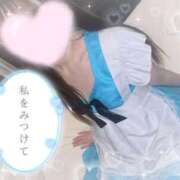 ヒメ日記 2025/10/24 11:14 投稿 シロナ バニーコレクション秋田店