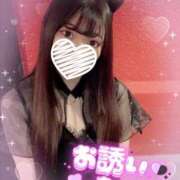 ヒメ日記 2025/10/26 06:13 投稿 シロナ バニーコレクション秋田店