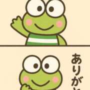 ヒメ日記 2025/10/27 00:27 投稿 シロナ バニーコレクション秋田店