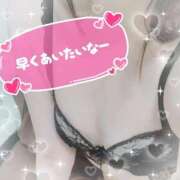 ヒメ日記 2025/11/05 16:03 投稿 シロナ バニーコレクション秋田店