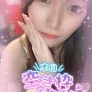 ヒメ日記 2025/11/08 13:13 投稿 シロナ バニーコレクション秋田店