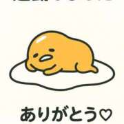 ヒメ日記 2025/11/09 00:43 投稿 シロナ バニーコレクション秋田店