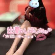 ヒメ日記 2025/11/09 06:23 投稿 シロナ バニーコレクション秋田店