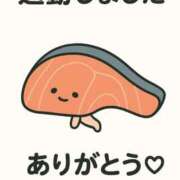 ヒメ日記 2025/11/10 00:43 投稿 シロナ バニーコレクション秋田店