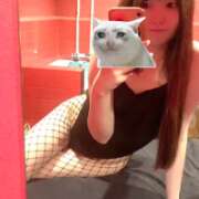 ヒメ日記 2026/01/30 09:08 投稿 シロナ バニーコレクション秋田店