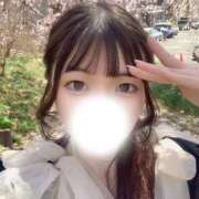 シロナ 【GW期間💖】 バニーコレクション秋田店