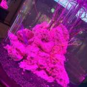 ヒメ日記 2025/12/01 08:45 投稿 いと 人妻倶楽部内緒の関係 春日部店