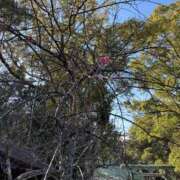 ヒメ日記 2025/08/08 11:37 投稿 ヤング 鶯谷デッドボール