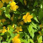 ヒメ日記 2025/09/08 10:19 投稿 ヤング 鶯谷デッドボール