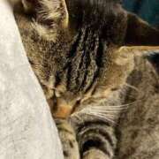 ヤング 秋の始まりは雨 鶯谷デッドボール