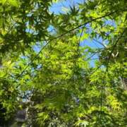 ヒメ日記 2026/01/27 10:30 投稿 ヤング 鶯谷デッドボール