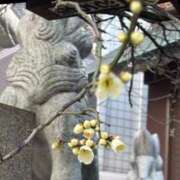 ヤング どどいつ 鶯谷デッドボール