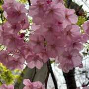 ヤング 花散らしの天気 鶯谷デッドボール