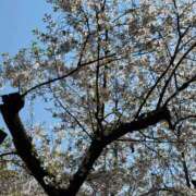 ヤング すっきり晴晴 鶯谷デッドボール