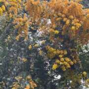 ヤング ごきげんいかが 鶯谷デッドボール