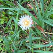 ヤング 出勤しました。 鶯谷デッドボール