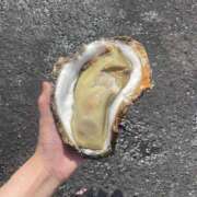 ヒメ日記 2025/08/18 20:04 投稿 ももか しろうと娘　本店