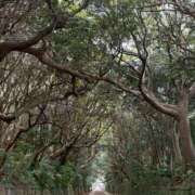 ヒメ日記 2025/08/26 16:01 投稿 りあ 千葉柏ちゃんこ