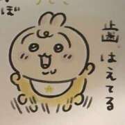 ヒメ日記 2025/09/06 23:31 投稿 りあ 千葉柏ちゃんこ